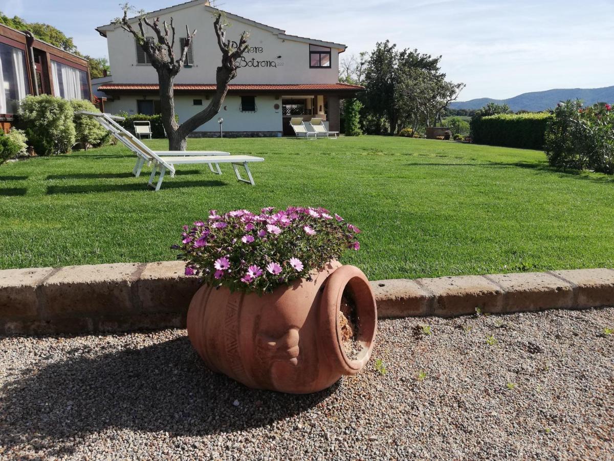 Agriturismo Diaccia Botrona Castiglione della Pescaia Buitenkant foto