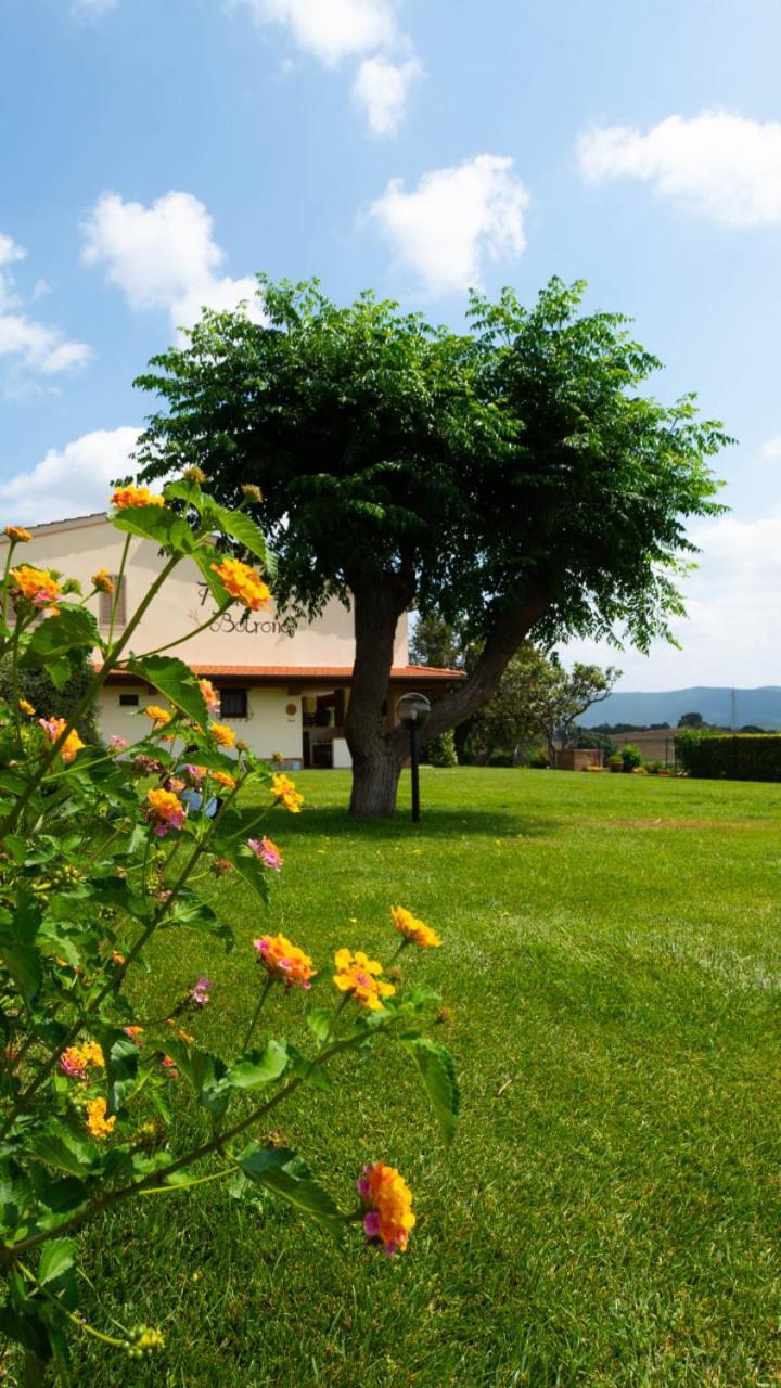 Agriturismo Diaccia Botrona Castiglione della Pescaia Buitenkant foto